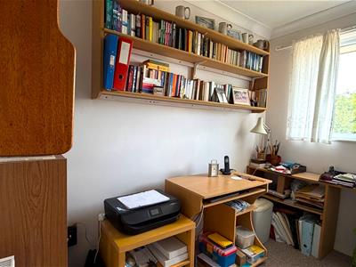 Picture 17